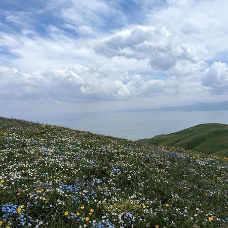 Hotel Arevi Gosh Dış mekan fotoğraf