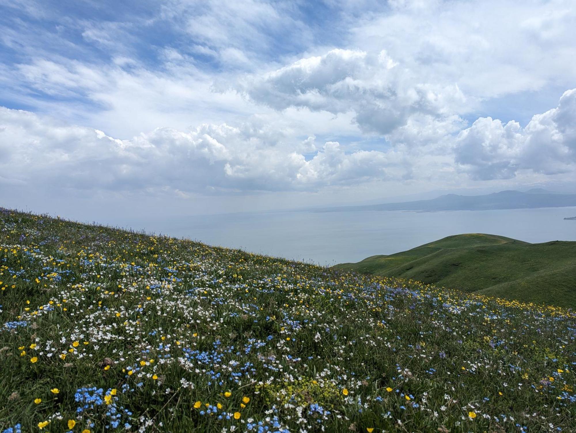 Hotel Arevi Gosh Dış mekan fotoğraf